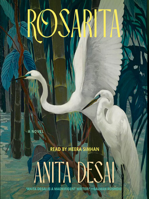 Title details for Rosarita by Anita Desai - Available